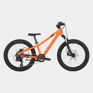 Roxter 200