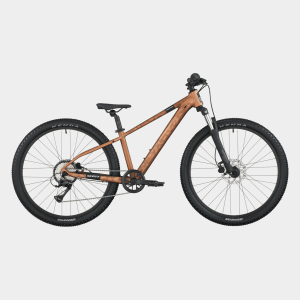 Roxter 600